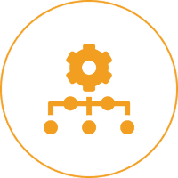 Organizational Structure & Scaling